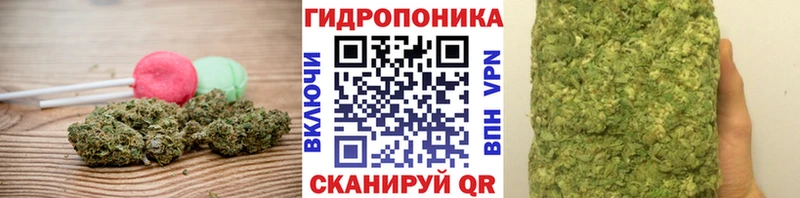 Cannafood марихуана Сафоново