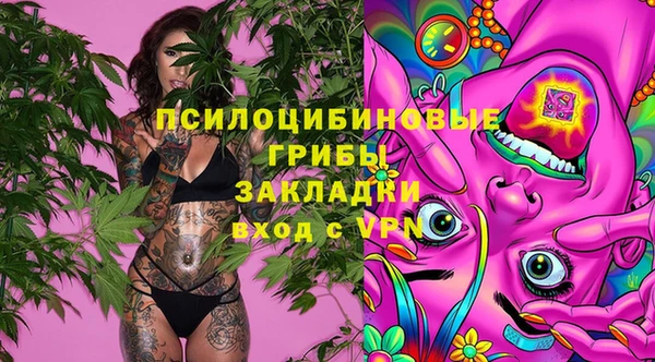 соль курить ск Алзамай