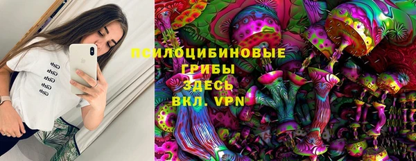 соль курить ск Алзамай