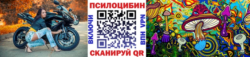 Псилоцибиновые грибы Cubensis  Сафоново 