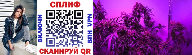 Каннабис White Widow  Сафоново 